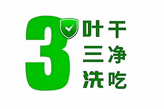 深圳叶三洗控股集团