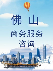 商务信息咨询服务